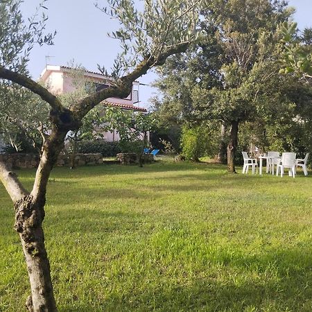 Appartamento In Villa Bruno Olbia Exteriér fotografie