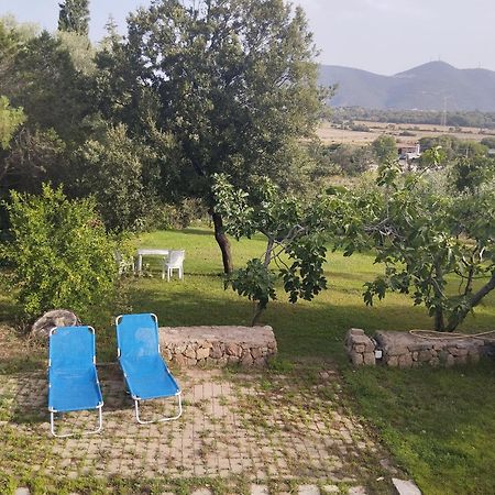 Appartamento In Villa Bruno Olbia Exteriér fotografie