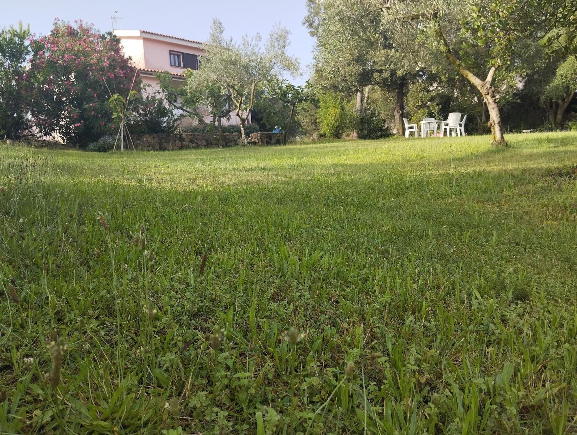 Appartamento In Villa Bruno Olbia Exteriér fotografie